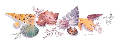 Shell 1